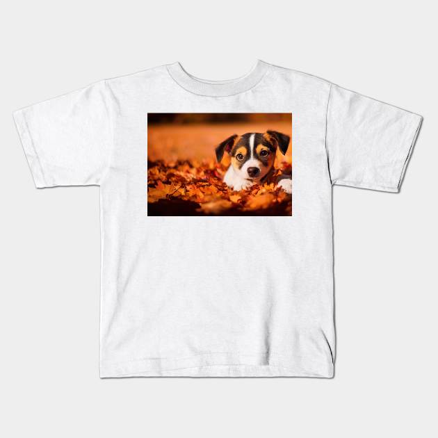 Cute dog at autumn nature Kids T-Shirt by DyeruArt